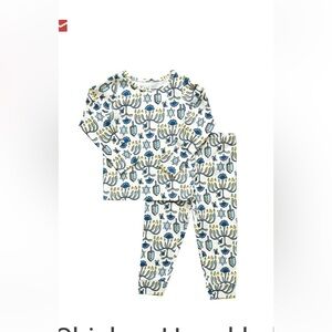 NWT Pink Chicken Hanukkah Kids Organic Cotton Pj gold & blue Set SUZE 2 year